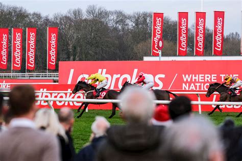 ladbrokes christmas festival|Racecard .